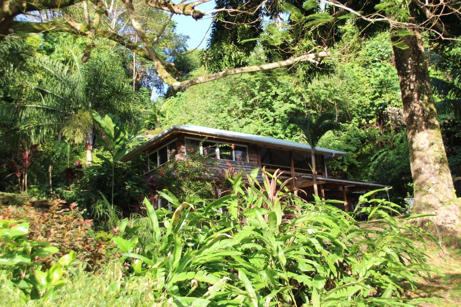 Huahine Manta Lodge Avec 4X4 Optionnel Haapu Bagian luar foto