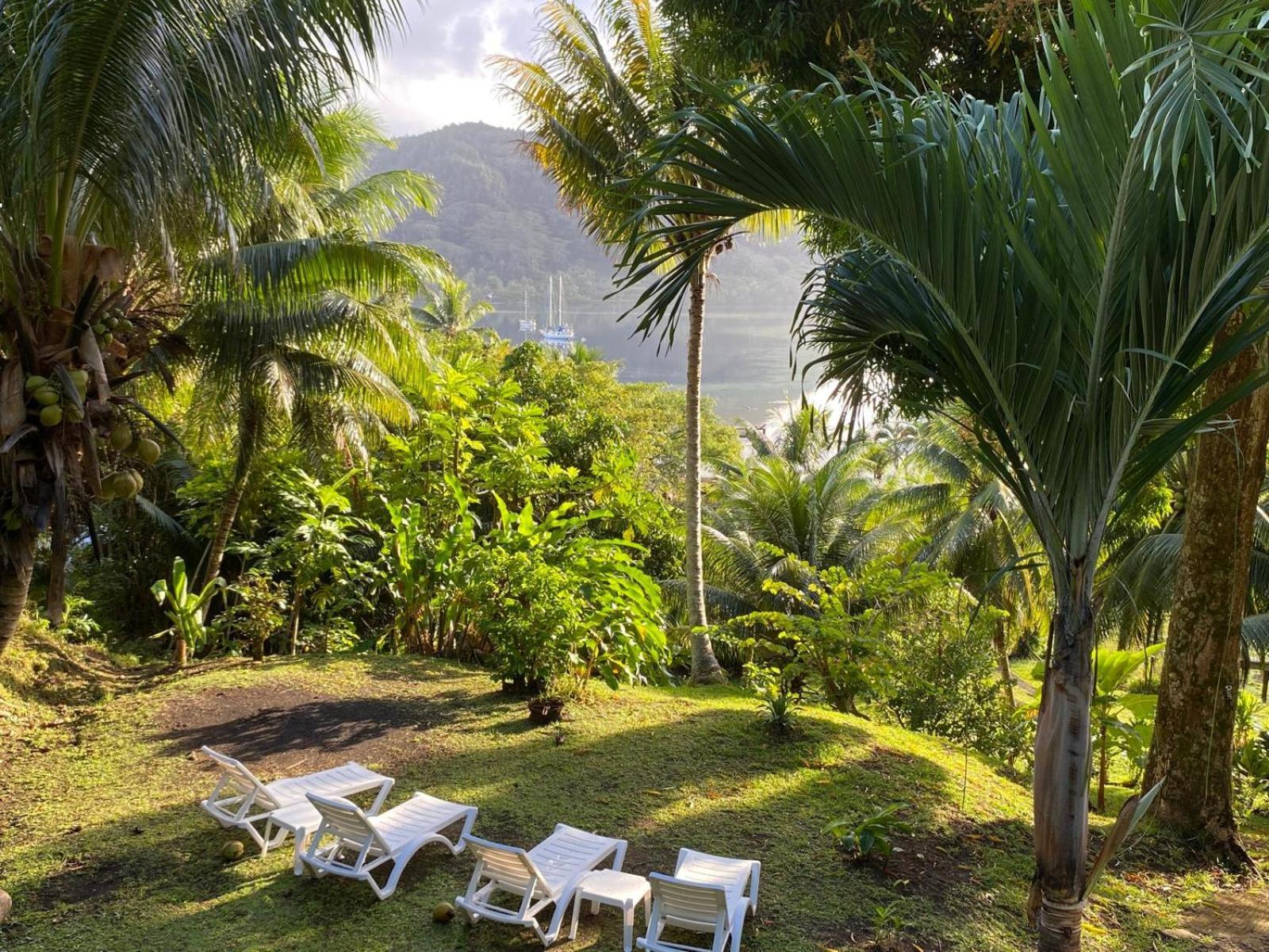 Huahine Manta Lodge Avec 4X4 Optionnel Haapu Bagian luar foto