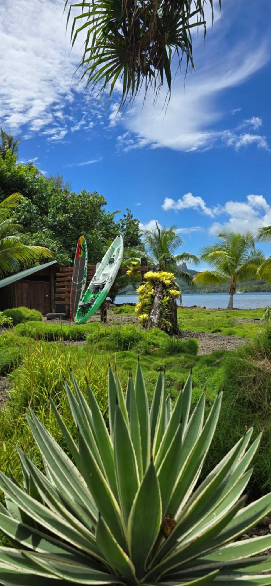 Huahine Manta Lodge Avec 4X4 Optionnel Haapu Bagian luar foto